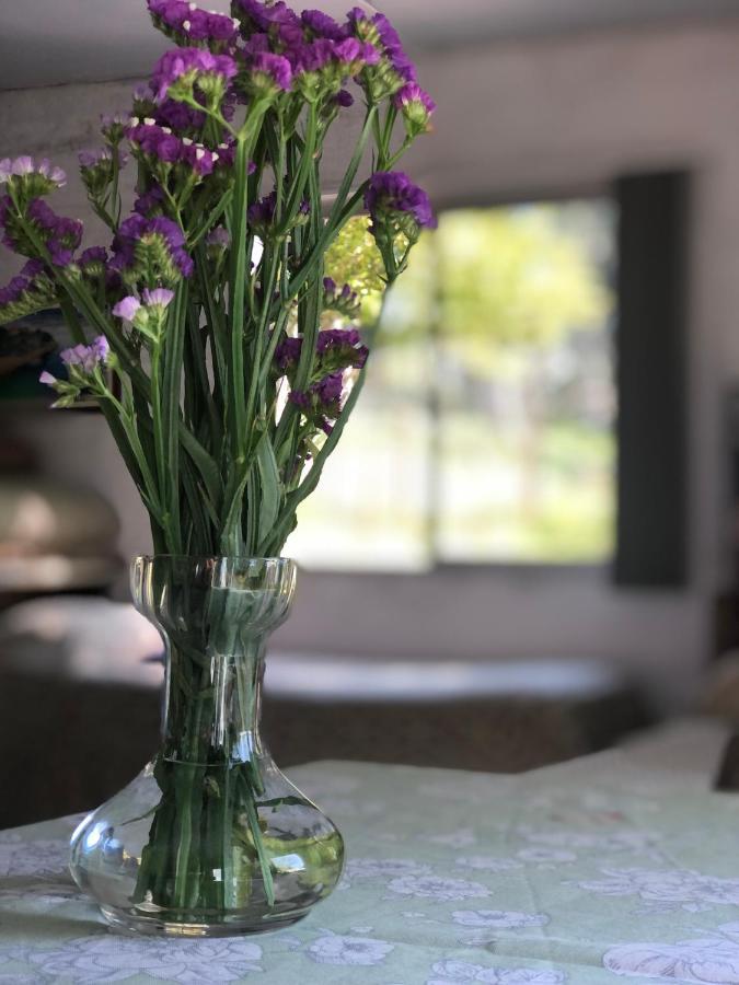 Casita Del Parque Hotell Salto Eksteriør bilde